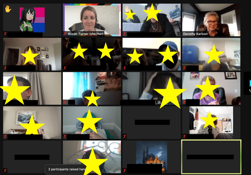 Image of zoom session showing learners and leaders together.